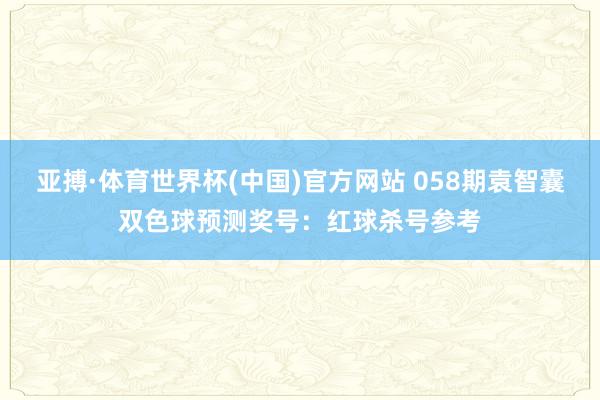 亚搏·体育世界杯(中国)官方网站 058期袁智囊双色球预测奖号：红球杀号参考