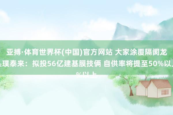 亚搏·体育世界杯(中国)官方网站 大家涂覆隔阂龙头璞泰来：拟投56亿建基膜技俩 自供率将提至50%以上