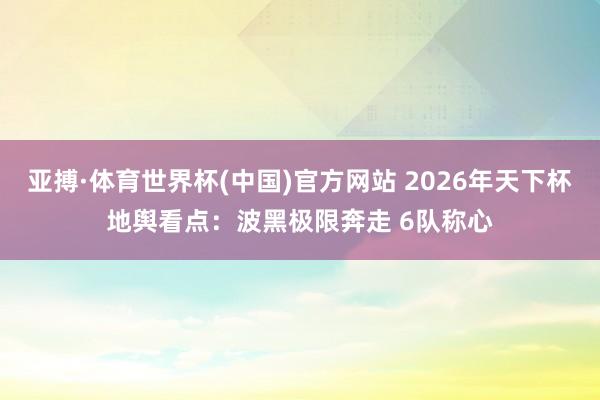 亚搏·体育世界杯(中国)官方网站 2026年天下杯地舆看点：波黑极限奔走 6队称心