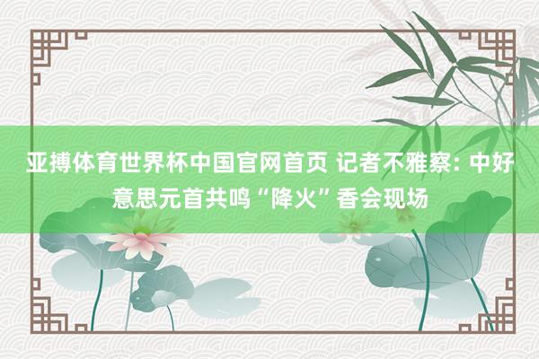 亚搏体育世界杯中国官网首页 记者不雅察: 中好意思元首共鸣“降火”香会现场