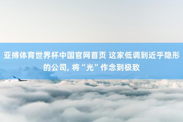 亚搏体育世界杯中国官网首页 这家低调到近乎隐形的公司， 将“光”作念到极致