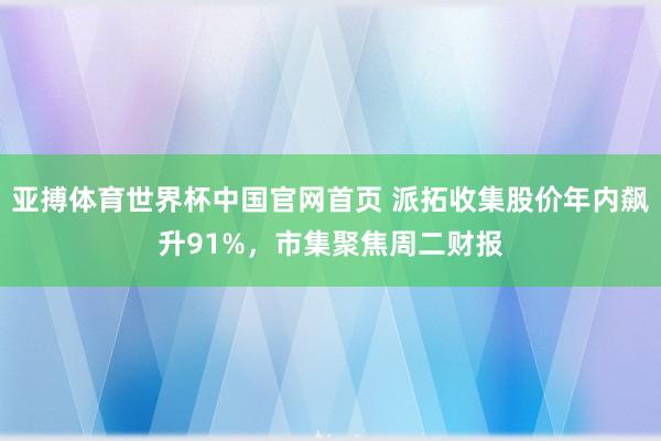亚搏体育世界杯中国官网首页 派拓收集股价年内飙升91%，市集聚焦周二财报