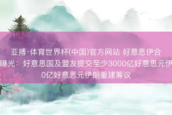 亚搏·体育世界杯(中国)官方网站 好意思伊合同部分细节曝光:好意思国及盟友提交至少3000亿好意思元伊朗重建筹议