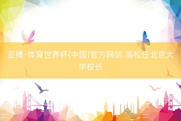 亚搏·体育世界杯(中国)官方网站 高松任北京大学校长